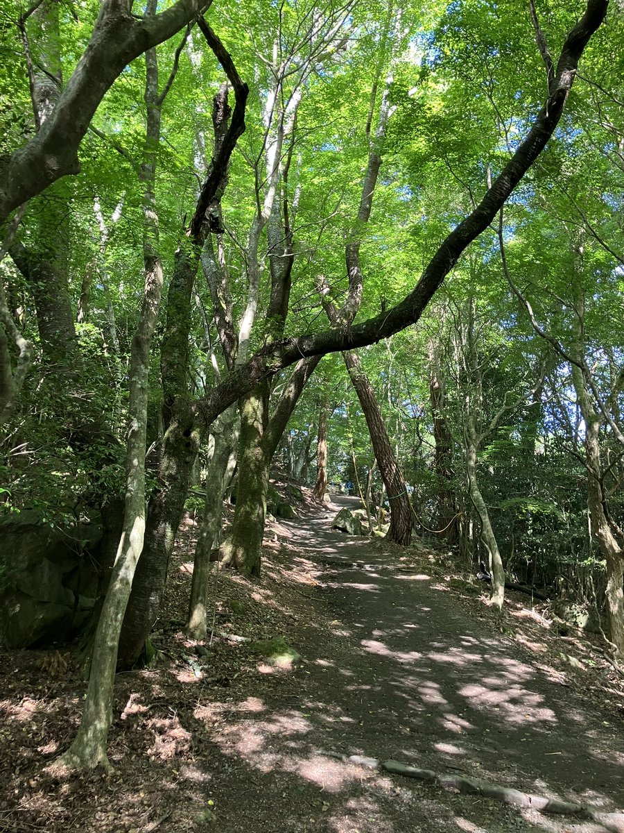 KankakeiRopeway's tweet photo. おはよう(☝️՞ਊ ՞)☝️ウェーイ

気温 21℃

青もみじの散策道を越えた先には絶景が広がっています！ https://t.co/CgGtLYMrt4