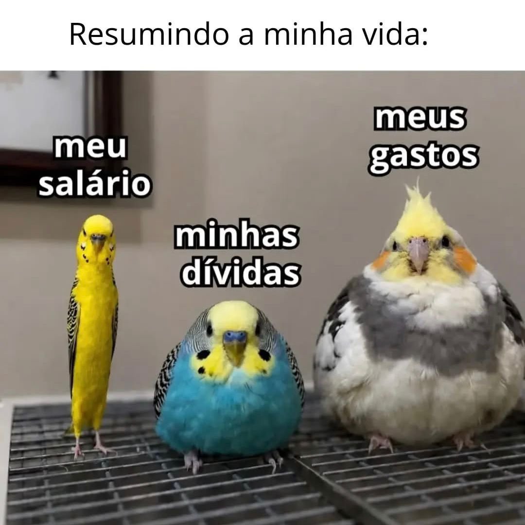 umANSIOS0's tweet photo. https://t.co/WWkokzN7HS