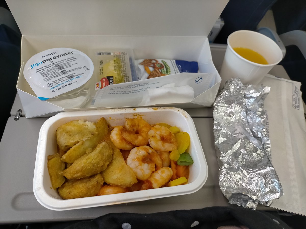 sumomo_P_'s tweet photo. 帰りは大韓航空✈️𓈒𓂂𓏸またすぐに行きます🇰🇷(笑) https://t.co/7ODZDZciii