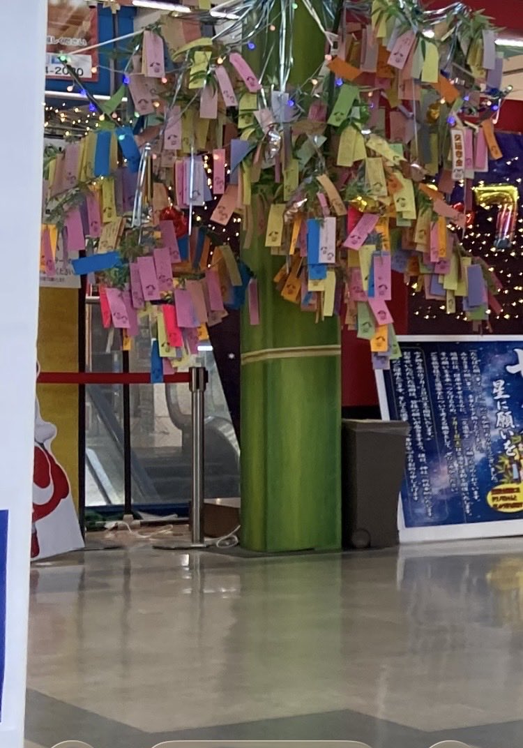 cqtl_s's tweet photo. 今迄田の字表示だった写真表示
横並び表示に
#クワノミちゃん
#写真表示が変わった
#オークワ
#パームシティ
#和歌山県警 https://t.co/xdH9hhO2oV