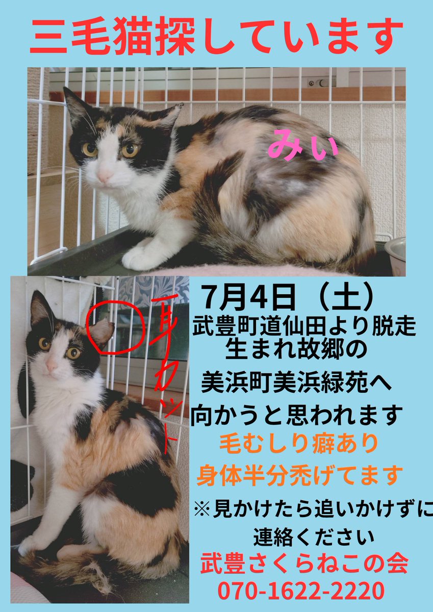 メンバーや美浜町の相談者には連絡し捜索お願いしてたけど、1週間経過