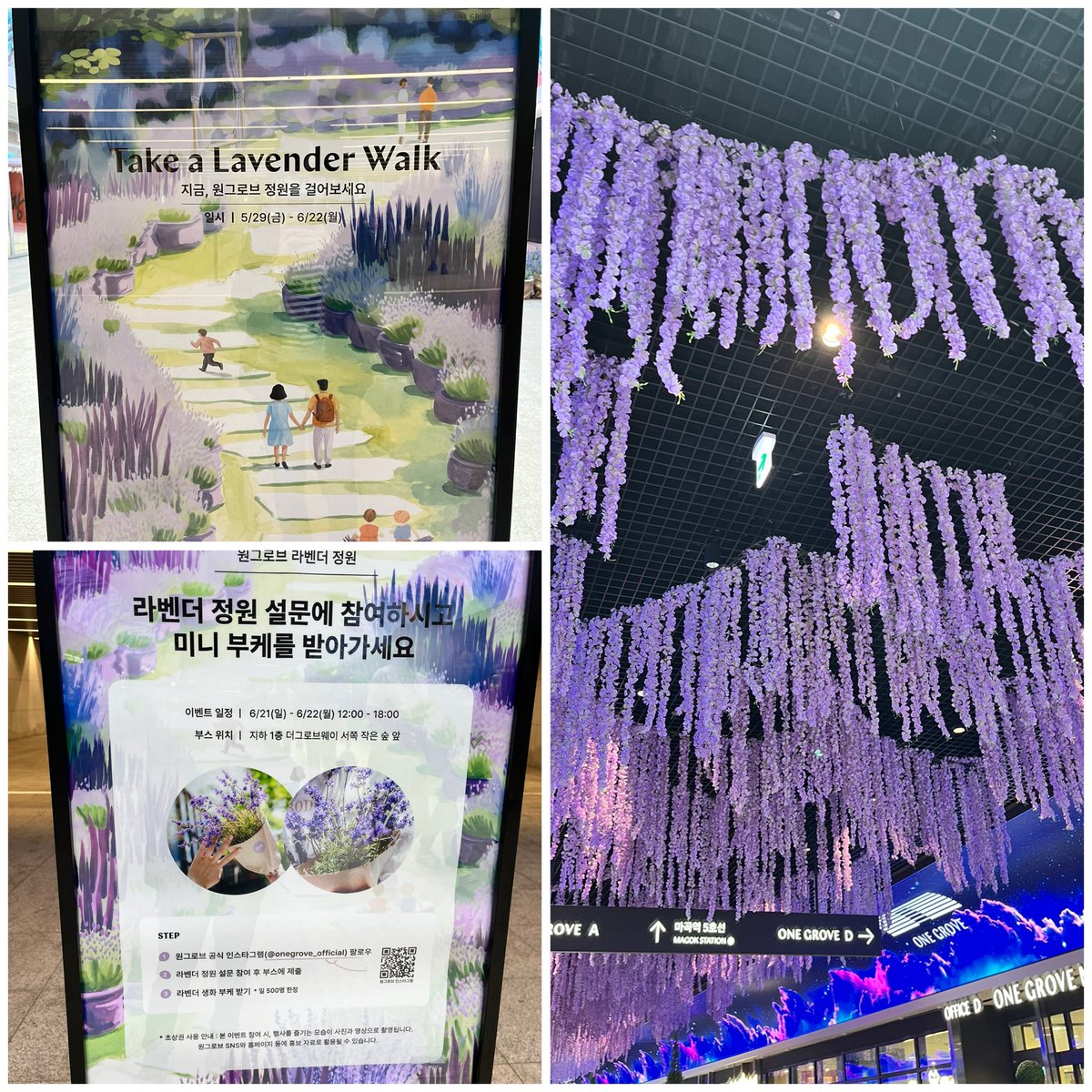 pepper_37's tweet photo. 【韓国旅行】ケレン参戦時は金浦空港至近の麻谷に滞在。駅近の新しいショッピングモール「ONE GROVE」があり、これからますます発展する駅という印象。ラベンダーウォーク期間中で圧巻の装飾だった🪻

時間がなくて教保文庫、musinsa standardだけ見た。無印もオリヤンもあった。 https://t.co/gJUZAc8z05