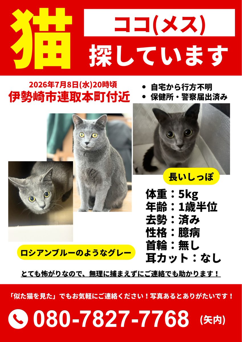 Love98Neko's tweet photo. 先日投稿させて頂きました迷子のココちゃん。
昨夜(22時〜6時くらいまで)、私も捜索してみましたが見つかりませんでした(TT)
探偵も頼んであったのですが探偵も見つけることが出来ず業務終了となりました。
新たに飼い主さんに通じる番号を載せたチラシを作りました。
目撃情報こちらにお願いします🤲 https://t.co/w77vgYWfYT