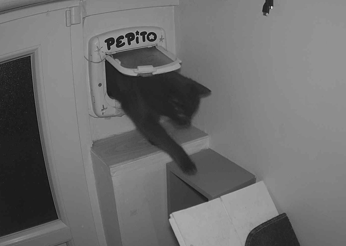 Pépito tweet media