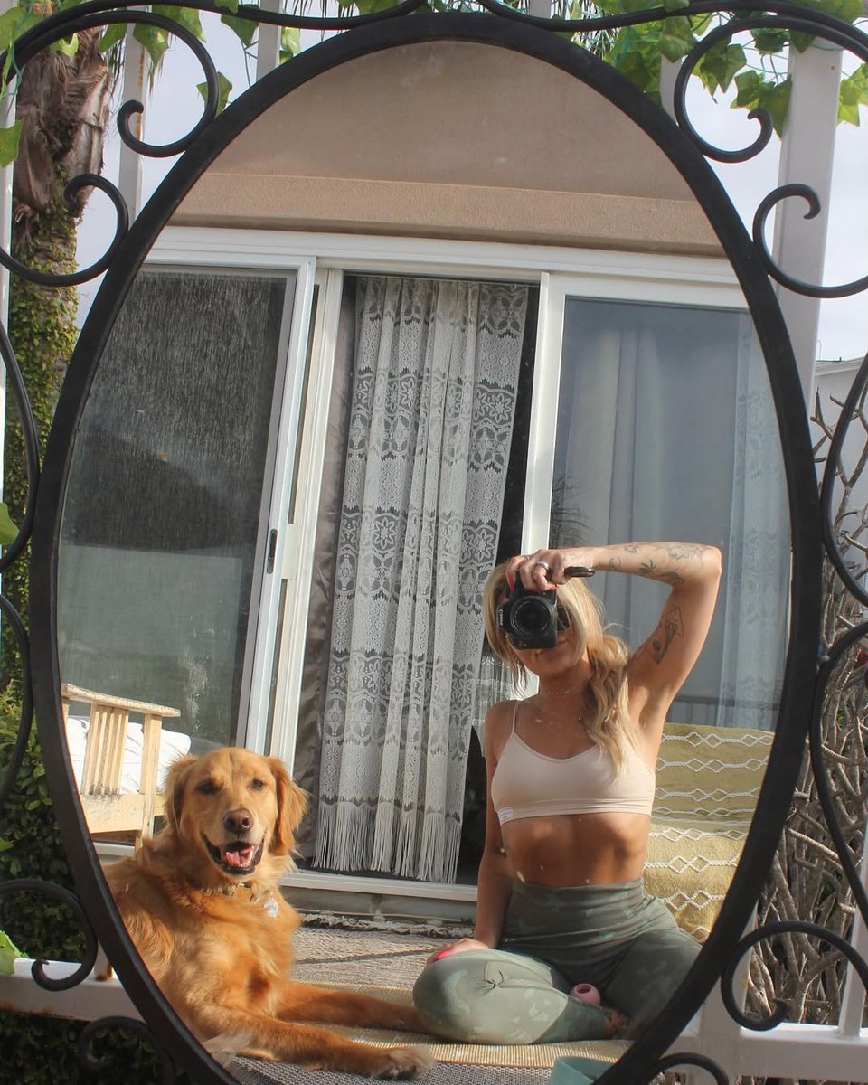 lyssawestt's tweet photo. All This Is Temporary💛🩶

#goldenretriever #dogsoftwitter #momma https://t.co/xyZh8luWvg