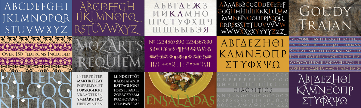 castletype tweet picture