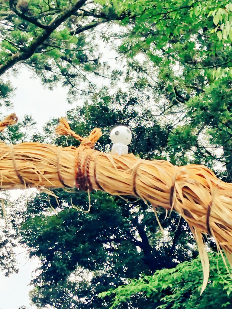 team20190823's tweet photo. 参拝。茅の輪の上に何か居た！！

#おはようございます
#写真
#日常 https://t.co/AoVXGMYVBj