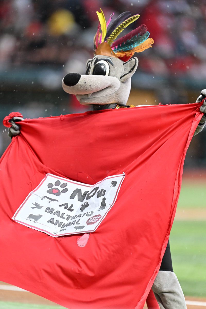 DiablosRojosMX's tweet photo. No al maltrato animal. ❌🐾 Te amamos @Rocco00MX https://t.co/BAFcLffARL