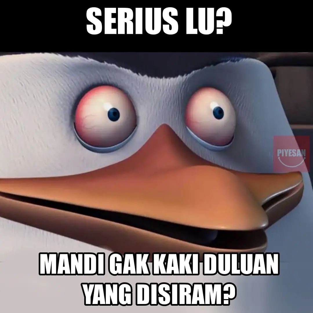 KucengTerbanggg's tweet photo. Kalian? https://t.co/t9gWCmmLT7