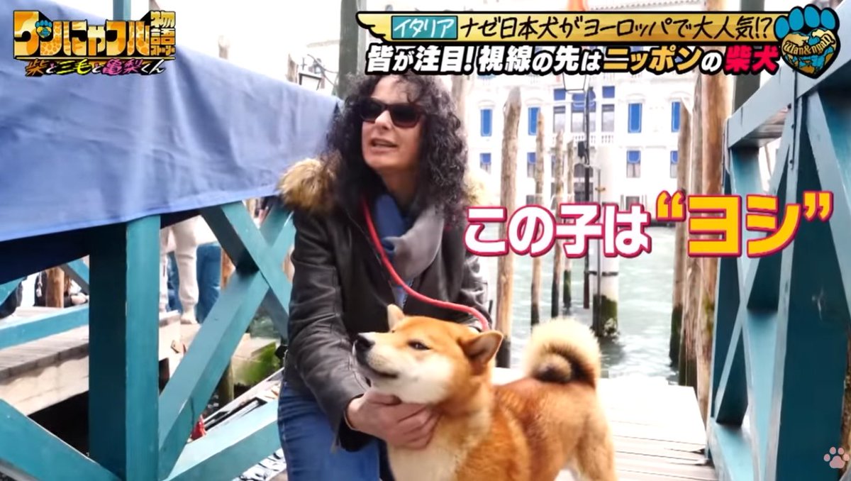 touya_RO's tweet photo. ヨシ！ https://t.co/8h5mGvR2pv