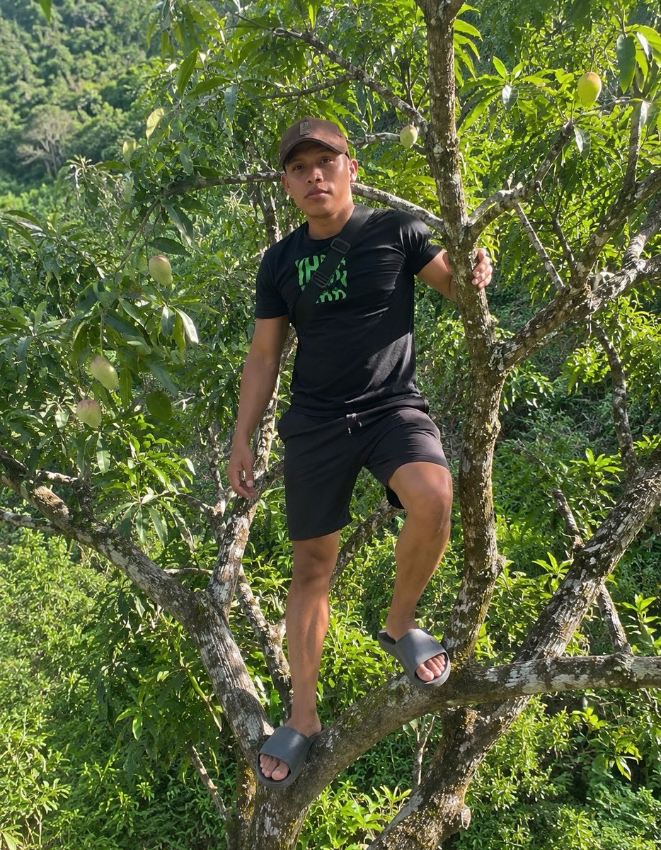 Henriqu87830881's tweet photo. En el palo de mango 🥭 https://t.co/HqyKwRaoHW