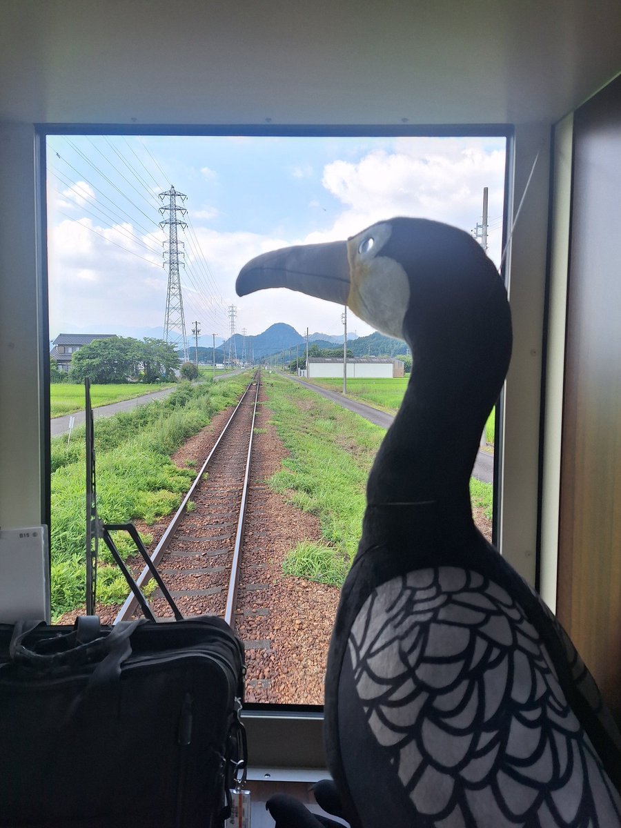 長良川鉄道株式会社【公式】 (@NAGARA_RAILWAY) / Posts / X