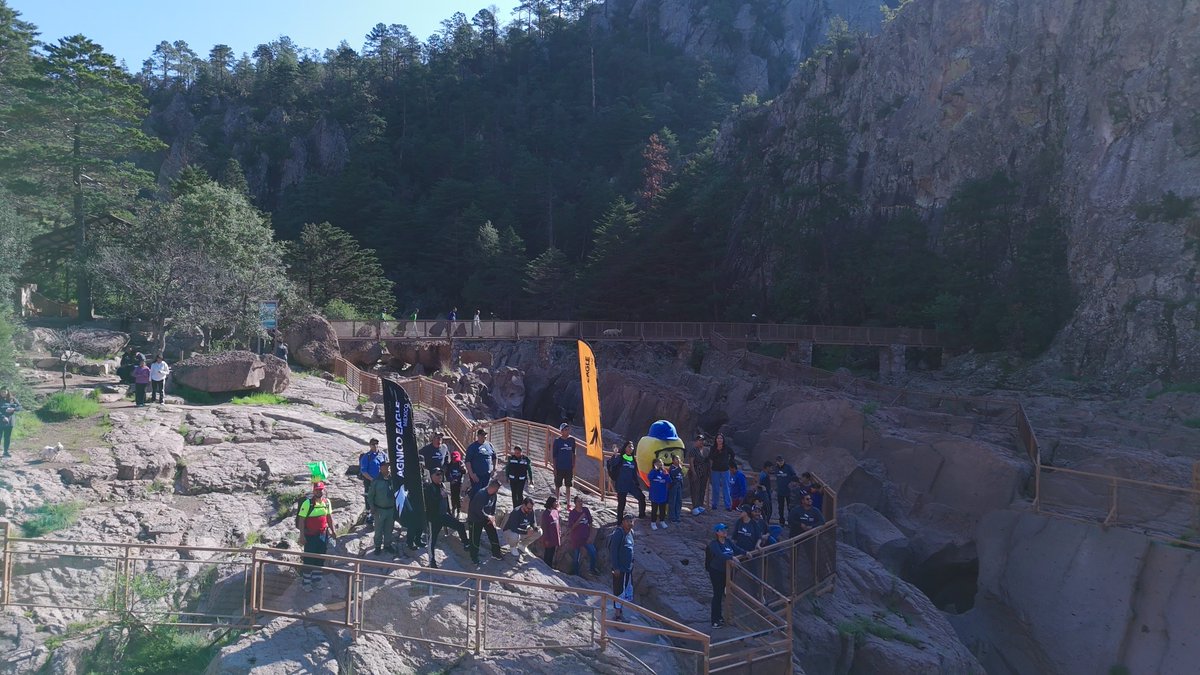 AgnicoMexico's tweet photo. ⛰️🥾 Celebramos el Día del Minero y la Minera rodeados de paisajes extraordinarios y en compañía de lo que más valoramos: nuestras familias, nuestras comunidades y el orgullo de formar parte de esta tierra minera, promoviendo la convivencia y la vida saludable.

Gracias al Parque Nacional Cascada de Basaseachi, a @CONANP_mx, al Municipio de Ocampo, a nuestra proveeduría y a todas las personas que hicieron posible esta gran experiencia, por recibirnos con la hospitalidad y calidez que caracterizan a nuestra región.

💛 ¡Feliz #DíaDelMinero2026!