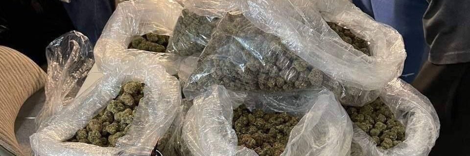 Plug_houston420's tweet photo. Dm me to place an order
#dfwplug #dallasweed #dfwplug #dallastexas #dtx .#dallaszaza #fortworthweed https://t.co/TTM0BiA5lA