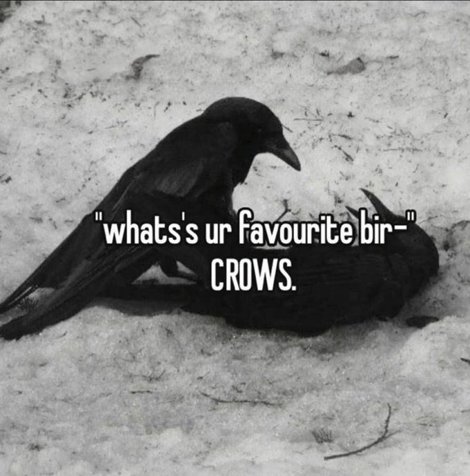 Black. tweet media