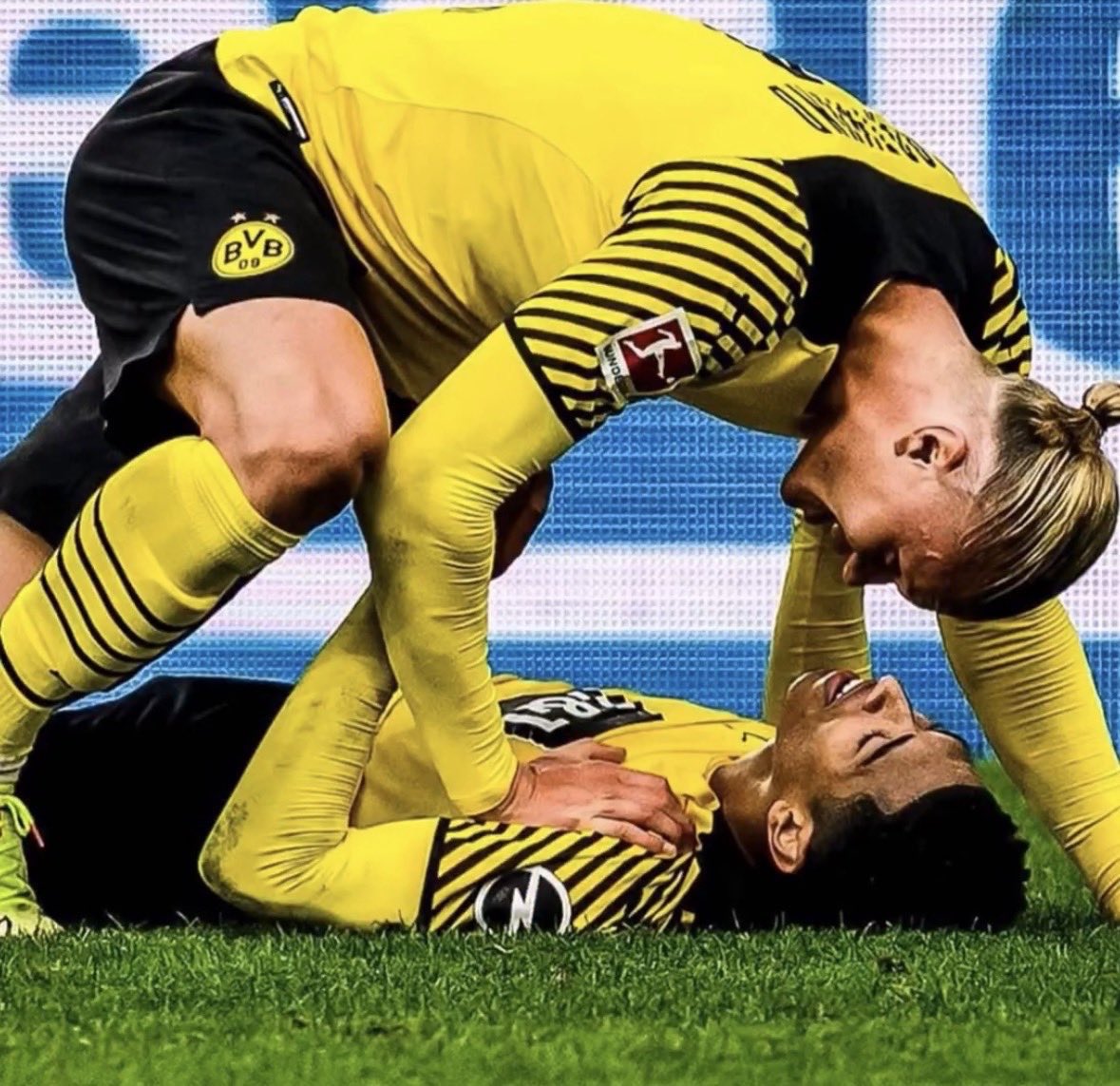 gnabluvs's tweet photo. Haalingham au 

Donde noruega se enfrenta a Inglaterra en los cuartos de final para copa del mundo 2026. Lo que nadie sabe es que la marca de pertenencia que Jude belligham porta en el cuello con orgullo fue hecha por nada más y nada menos que Erling Haaland, el jugador noruego estrella.

Pero ese es el menor de los problemas cuando el partido no tiene mucho de haber comenzado y el alfa percibe los nervios del omega en su aroma a fresas y a… ¿leche?