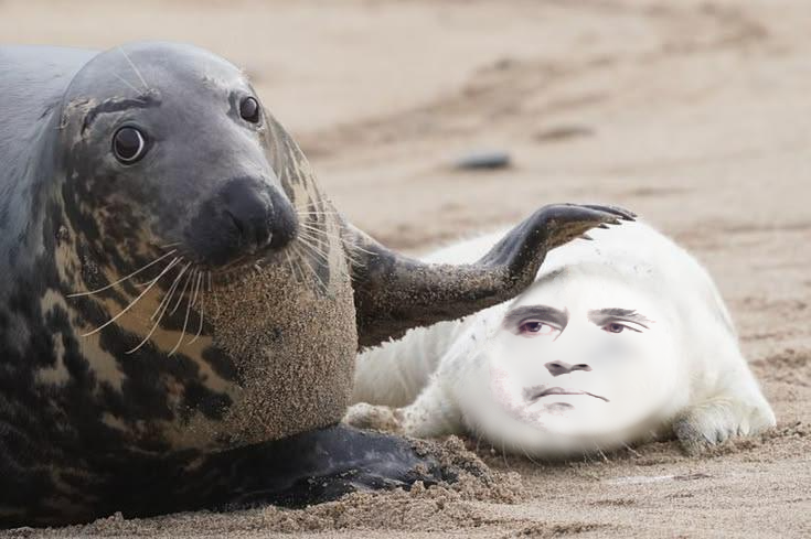 John Seal tweet media