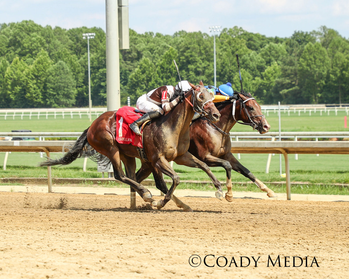 MarylandTB's tweet photo. #MDBred Pont Aven rallied to victory in Saturday’s $125,000 Star de Naskra at Colonial Downs!
The son of Blofeld was bred by Dr. & Mrs. Thomas Bowman & Skeedattle Associates and is owned by Day at the Races LLC! https://t.co/R9KwmJyW7w