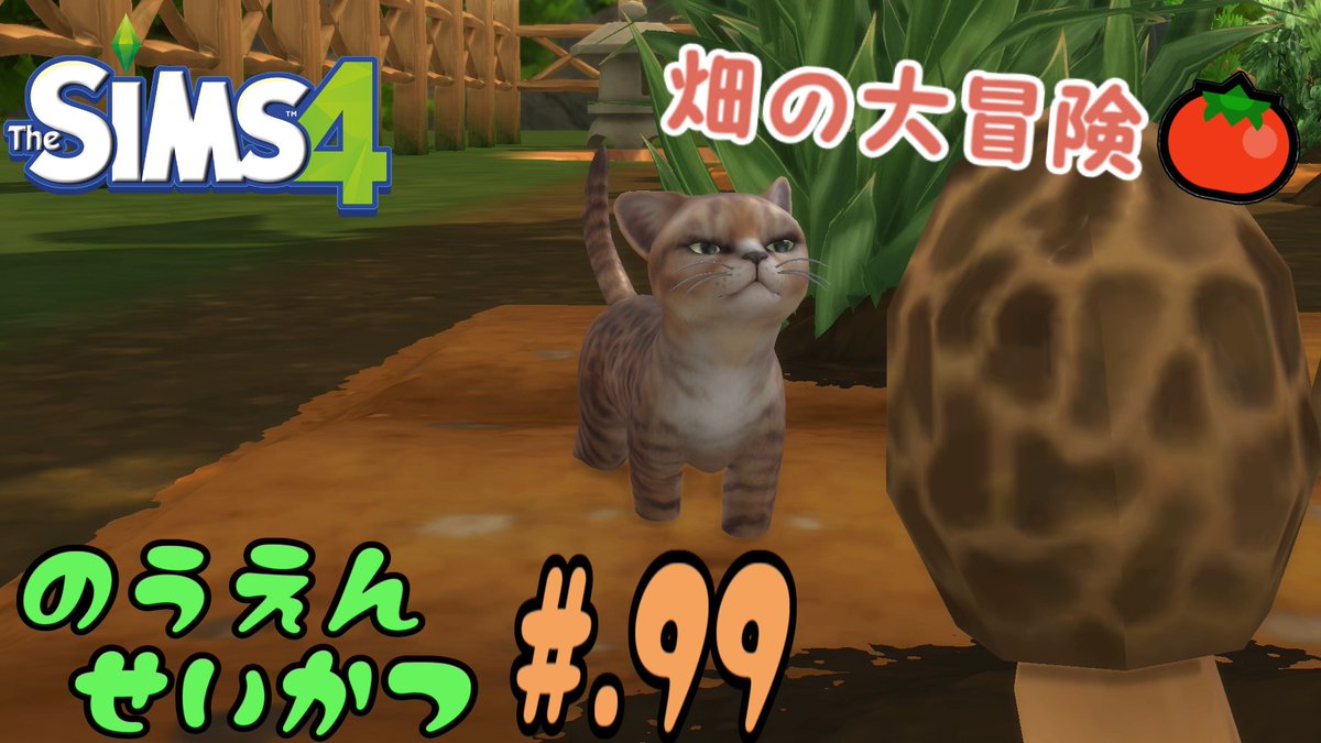 Muffin_So's tweet photo. 衝撃のラスト😱

【The SIMS 4】#99 猫と兄妹の島暮らし【ゆっくり実況】

https://t.co/QKMHh13Ng3

#SIMS4,#シムズ4 https://t.co/j4pRMJVKxu