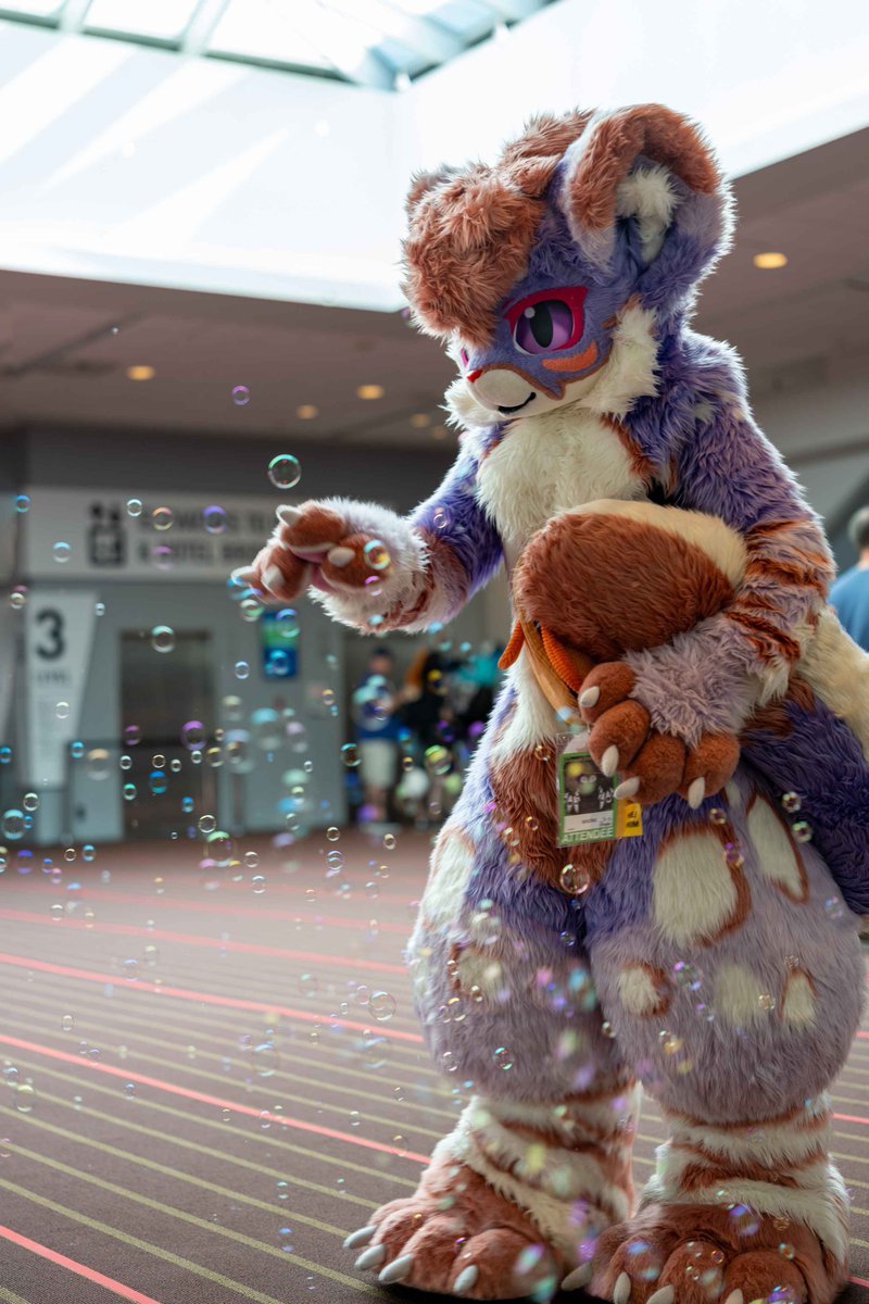 IItsSocks's tweet photo. Stream back from anthrocon!

📸@SirDrewTheFree https://t.co/nVQovuiARt