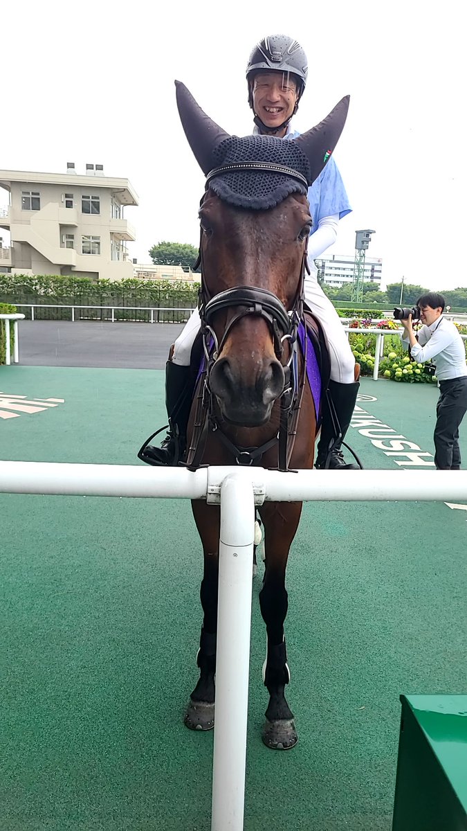 raitirel's tweet photo. 福島競馬場来ました。誘導馬はトーラスジェミニとクレッシェンドラヴでした。あとポニー撫でてきました。 https://t.co/L86dgONk98