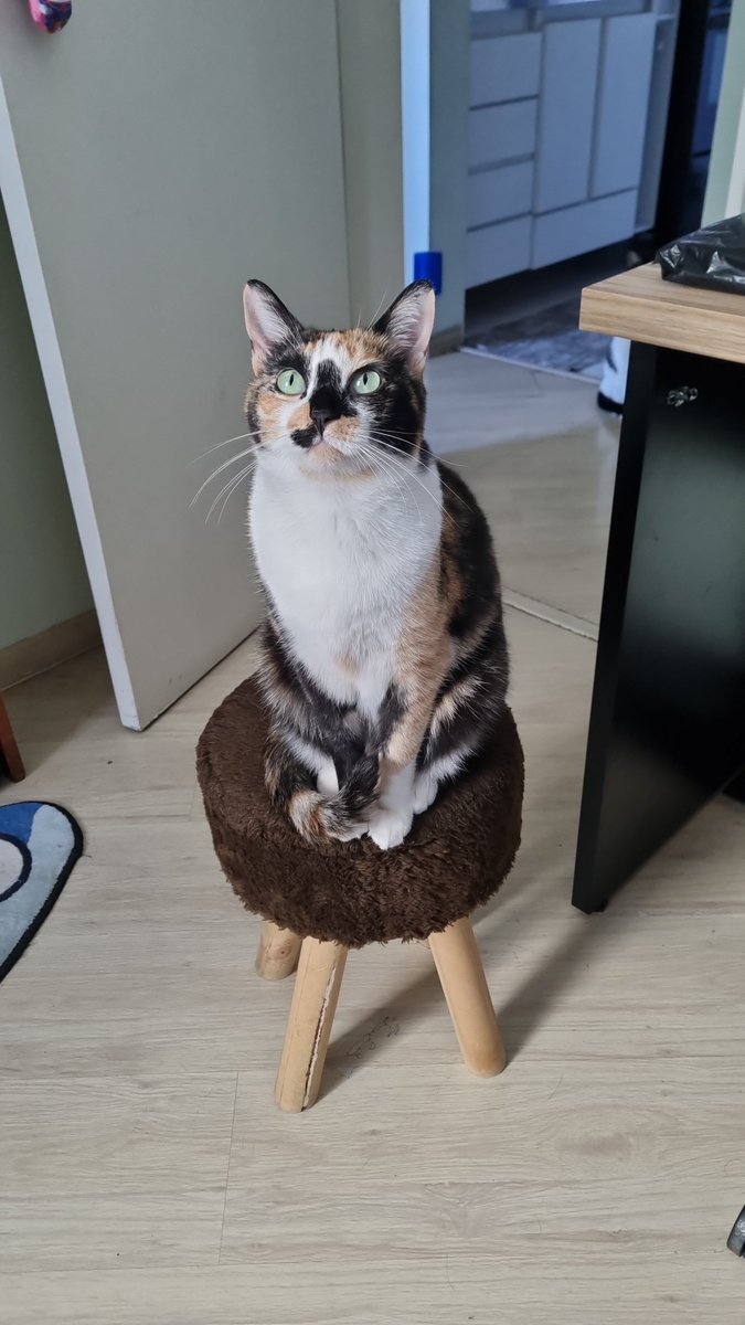 camishrtnc's tweet photo. fiz o truque do banquinho e funcionou demais https://t.co/tI6e4pWfUi