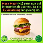 Photo by Vegans for Future (@VFF_eu)
