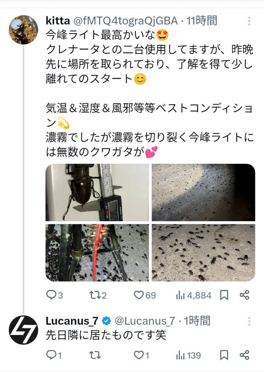 ルカヌスY tweet media