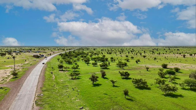Salembahd's tweet photo. Les magnifiques paysages de la saison des pluies dans l’est de la Mauritanie. https://t.co/6qdbG8u6T1