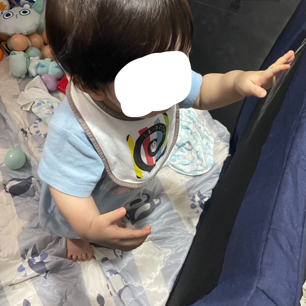 raimu_splzel's tweet photo. 1歳が近づいてきて成長著しくてまだまだ赤ちゃんでいいんだよの気持ち😇手離して立つ時間も増えてきたし、お店の子ども椅子にも座れるようになった🙌🏻嬉しいけど少しさみしい🥹 https://t.co/hHovWJl716