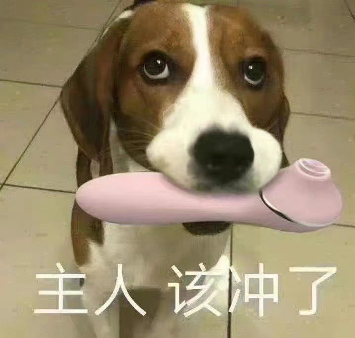 Tui3o0's tweet photo. 主人 该冲了 https://t.co/e30gXqagKe