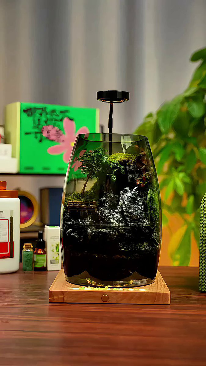 herminator3's tweet photo. Just finished my DIY terrerium from thrifted glass jar—layered moss, mini succulents u0026 sand! Tons of fun turning trash into tiny green magic , 10/10 recommended for weekend vibes! https://t.co/nMSFLQ8vXY