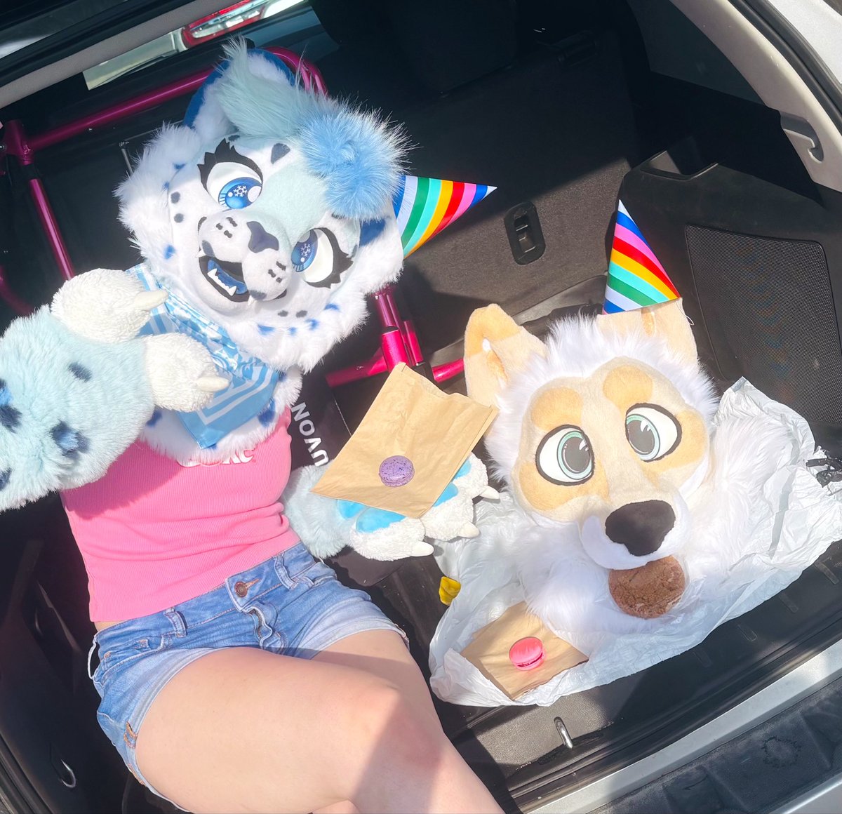 snowberrysnep's tweet photo. HAPPY BIRTH🎉🎉🎉

can you believe we are both one (1) years old!!!!!! 🫶 we got macarons to celebrate! (and he got an additional cookie) https://t.co/xmW9AL9iQT