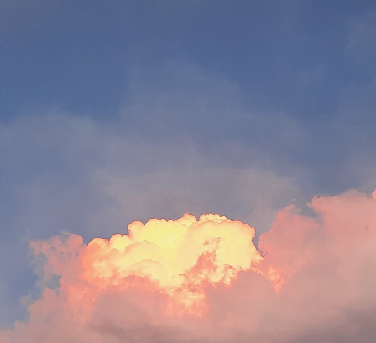 JadeHeasley's tweet photo. This cloud was reflecting the most gorgeous golden light from the sunset.  

#writers #writerslife https://t.co/4kPYIxW1WM