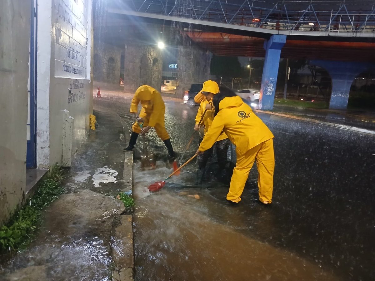 alcaldia_ss's tweet photo. En la zona Hermano Lejano, Z4, nuestro equipo de Saneamiento realiza la limpieza de alcantarillas y la evaluación de residuos para mantener el sistema de drenaje en óptimas condiciones. https://t.co/KNMKsDqoDf