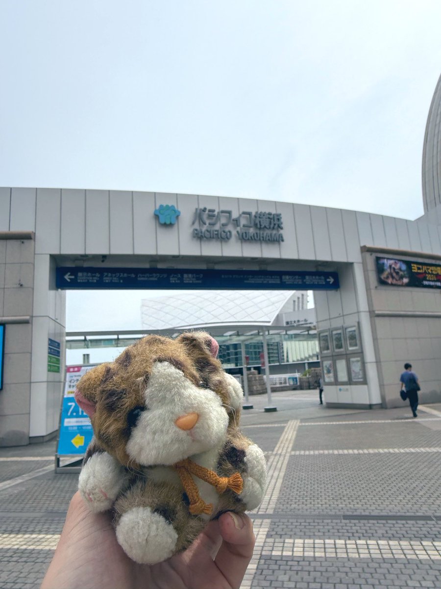 tomoko_314's tweet photo. ⸜(*˙꒳˙*)⸝ https://t.co/PoE5nwyPOr