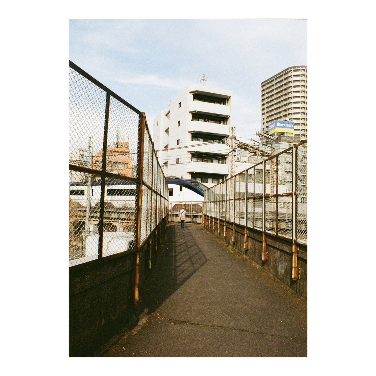 📷:OLYMPUS PEN-FT 🔍:OLYMPUS G.Zuiko Auto-W 20mm F3.5 🎞️:KODAK