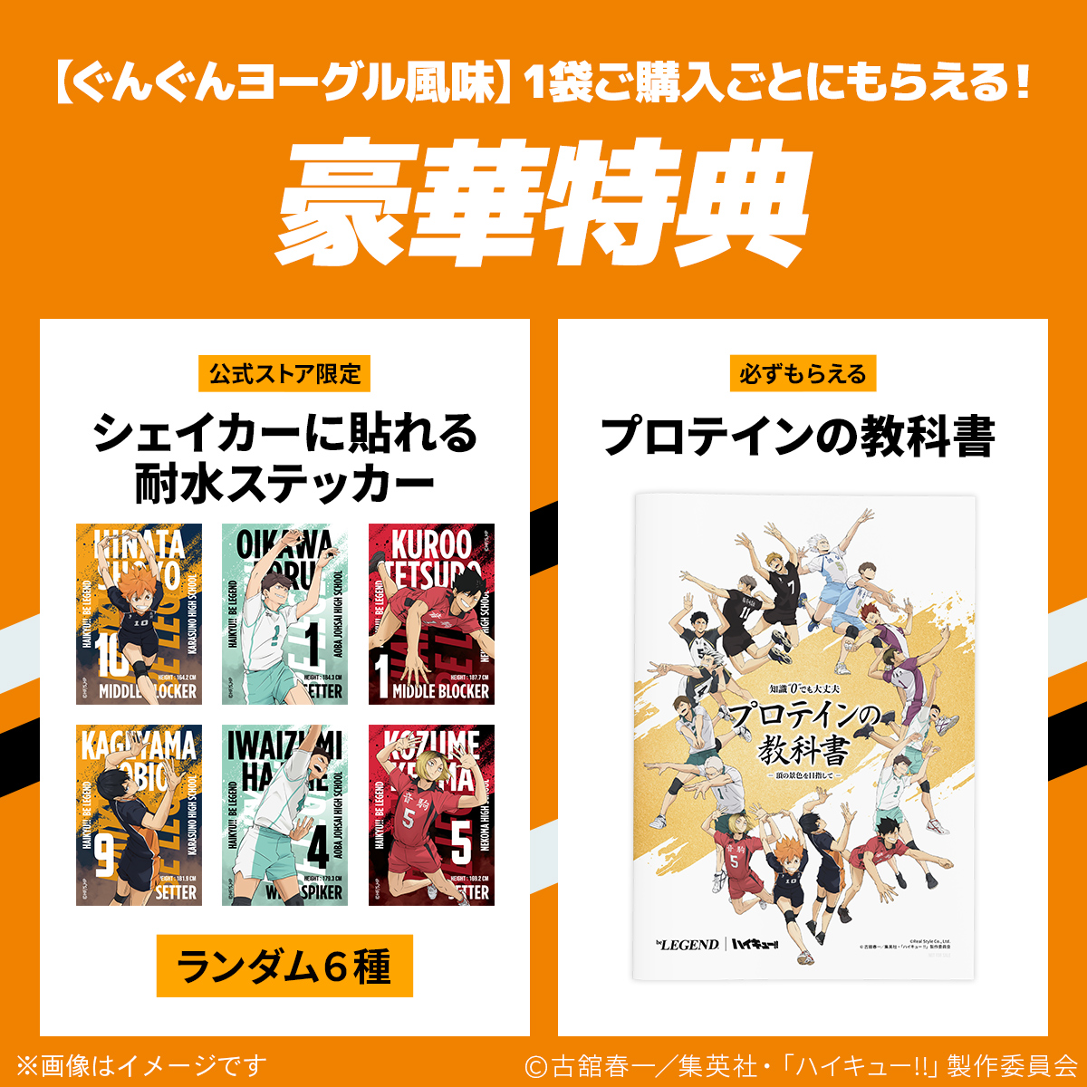 ぐんぐんヨーグル風味】には豪華特典付き！ 🎁公式ストア限定