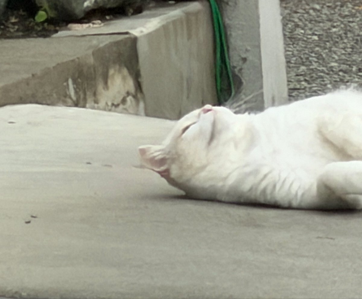 Ms__emuzu's tweet photo. 今から9時間2日目😶

フライング1時間稼働してもう🫠こんな

ｶﾞﾝﾊﾞﾛ https://t.co/ynEonOuUzK