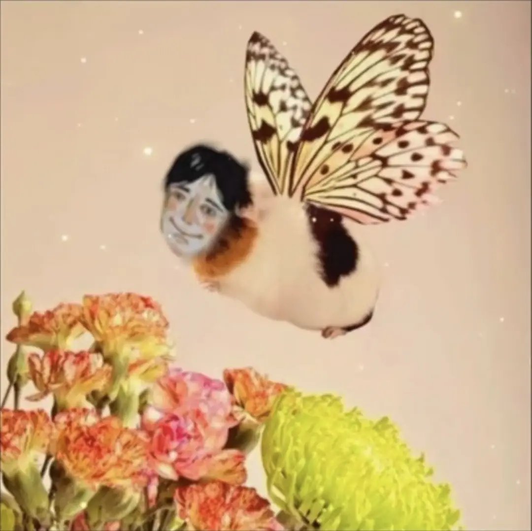 ୧ ׅ 𝒾𝒹ℴ𝓁 ⊹ ۫ . 🕯️ ♡ ۪ ੭ tweet media
