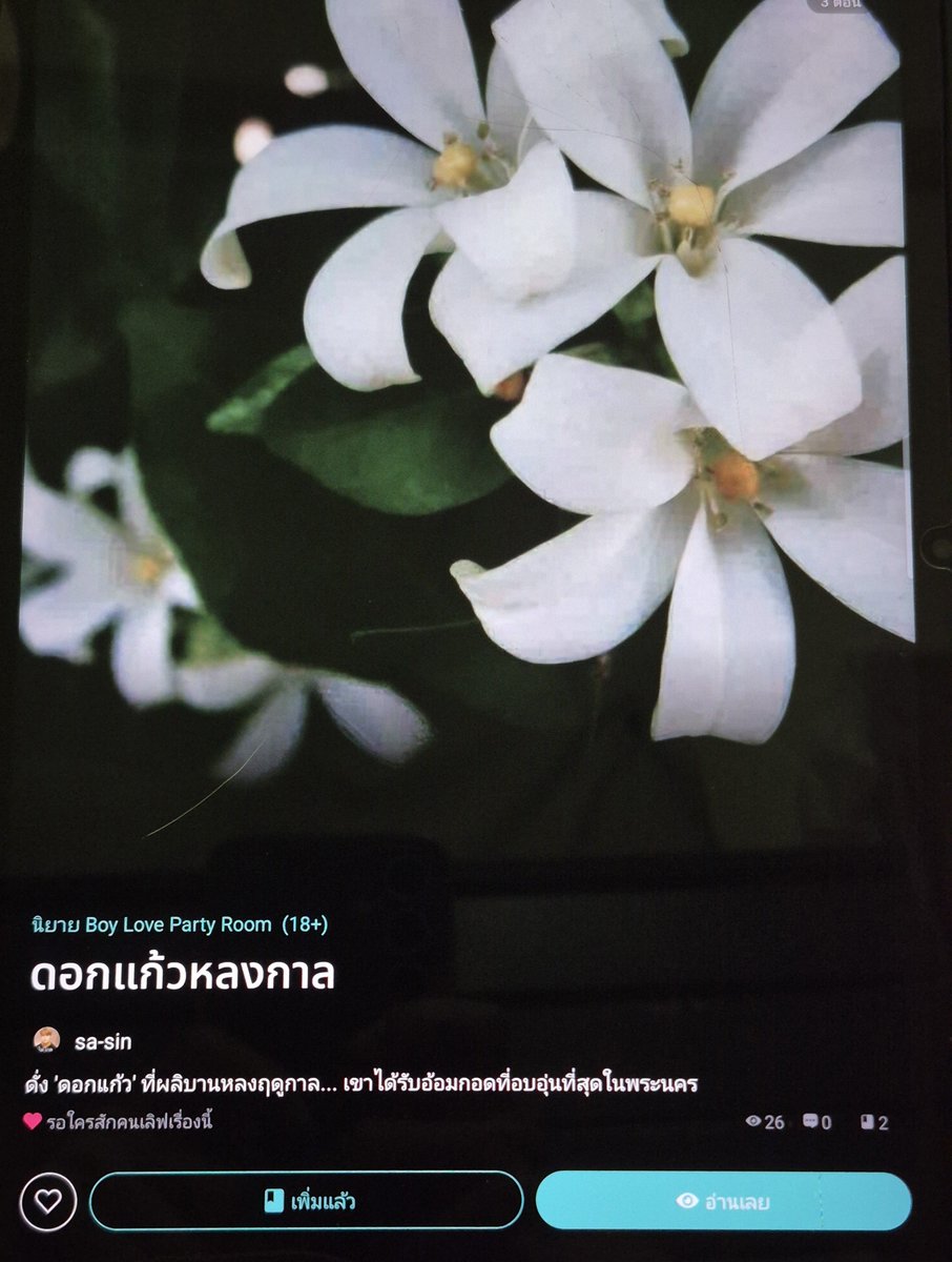 ltmkdy's tweet photo. [Pls RT] แนะนำนิยายใหม่ค่า

ดอกแก้วหลงกาล (พีเรียดวายไทย,ย้อนเวลา)

ต้นข้าวตื่นมาอยู่ในกรุงศรีอยุธยา 
ถูกจับเป็นนักโทษ ต้องใช้ความรู้ที่มี ไขคดีทุจริตในกรมท่า 
ท่ามกลางขุนนางที่ไม่ใจเขาแม้แต่น้อย

ยิ่งอยู่ที่นี่นานเท่าไร ก็ยิ่งกลัวว่าจะไม่มีวันได้กลับไปหาแม่อีก

#แนะนำนิยายวาย https://t.co/JcvF4MA91W