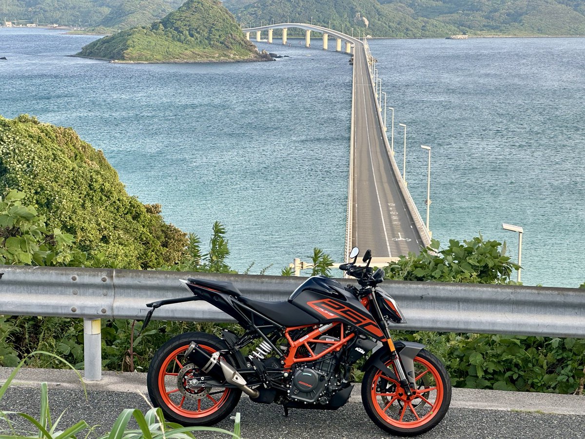 kanfu07's tweet photo. 慣らし運転終了して昨日オイル交換したので今日はエンジン回せる🏍️💦
と思うと翌日楽しみ過ぎて寝れなかったので深夜から🏍️💦
車も少なくブン回せたので角島まで💦
眠気覚ましのコーヒー飲み過ぎて気持ち悪くなったけど唐戸市場でフグ朝食🐡
唐揚げは身が多くて過去1やったかも？
#少年の心？w 
#眠い https://t.co/EZ4Us5maXe