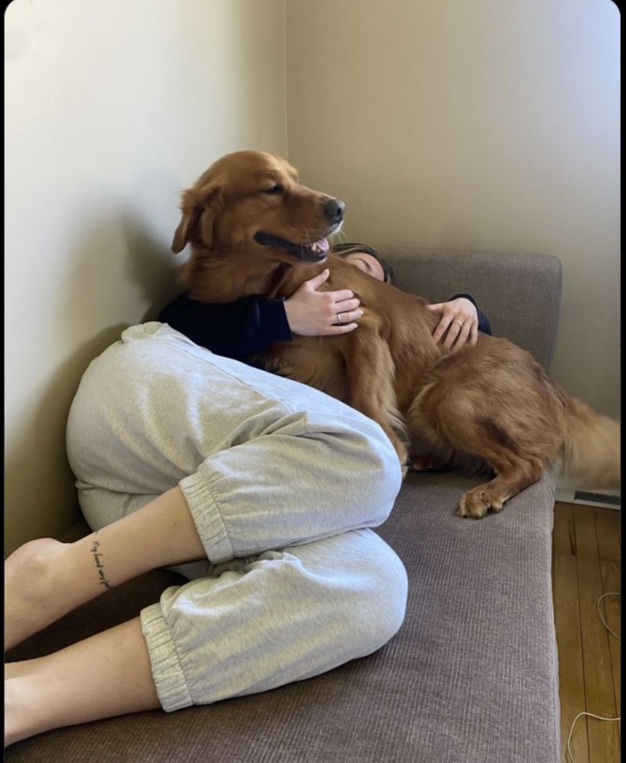 silesto911's tweet photo. Dogs don't care about your job, your money, or your mistakes—they just love you. And that's what makes them so special. 🐕💙
#DogLove #PetParents #DogsOfX #DogCommunity 
https://t.co/MQJep15Ow7 https://t.co/AFn8M6qLMf