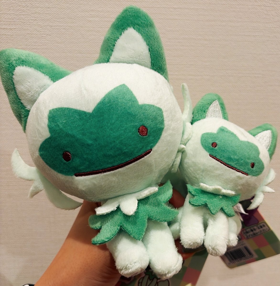 chirau000's tweet photo. かわいいかわいい https://t.co/fmxDT3g5FZ