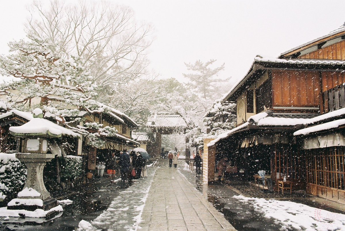 Nyagon (film photography lover) (@kyoto_suki) / Posts / X