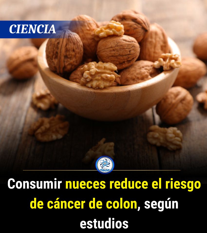 EnsedeCiencia's tweet photo. https://t.co/6dnWAR6IXA