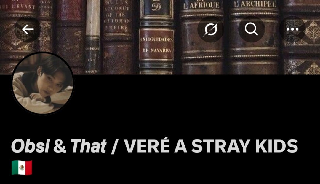 𝙊𝙗𝙨𝙞 & 𝙏𝙝𝙖𝙩 / VERÉ A STRAY KIDS 🇲🇽 tweet media