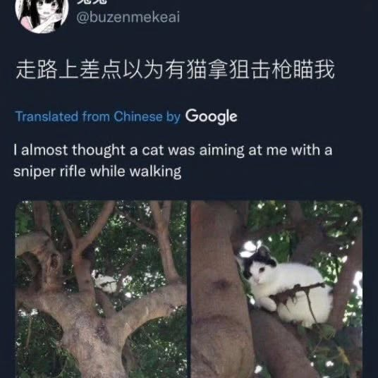 PunchingCat's tweet photo. https://t.co/iYZp3FpECX