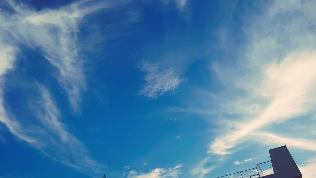 _dee_hii's tweet photo. 夕方の空がおもしろくなってきた

#みんなの風景写真 #空がある風景 https://t.co/RWAb89oocm
