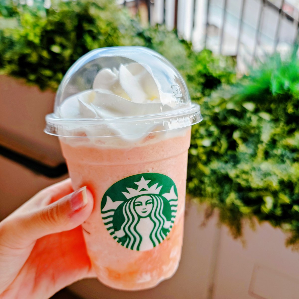 Post by あずき on X: 🍑